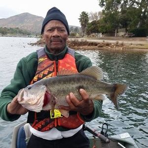 Meet your Posher, Leonard